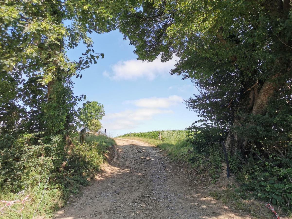 Ferienhof Ehlers Hulsede Exterior foto