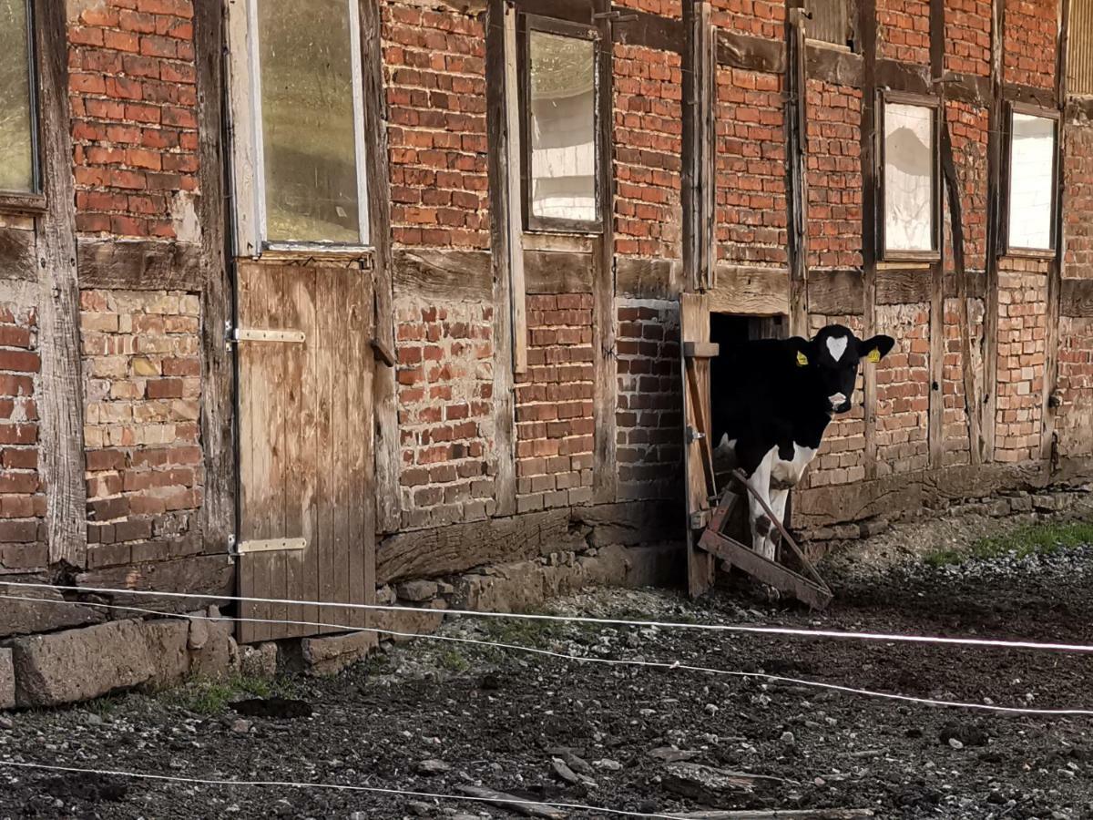 Ferienhof Ehlers Hulsede Exterior foto
